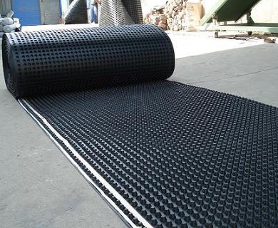 車庫虹吸排水板|排水板