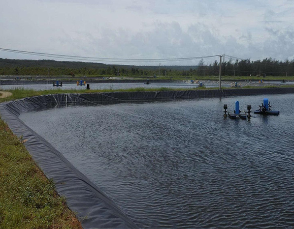 蝦池/魚塘水產養殖專用防滲膜