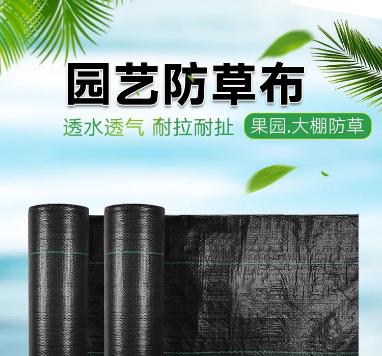 1618534497253497.jpeg 1.jpeg