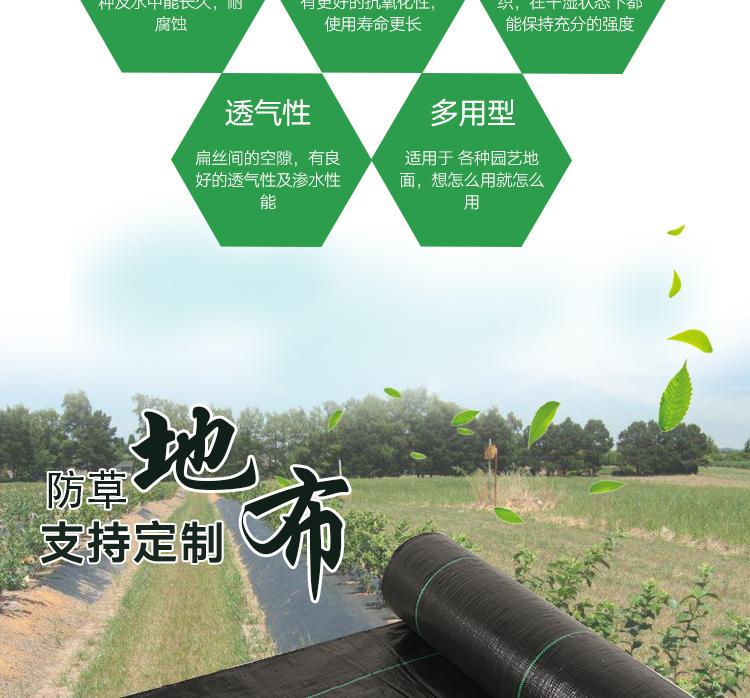 1618534531984024.jpeg 3.jpeg