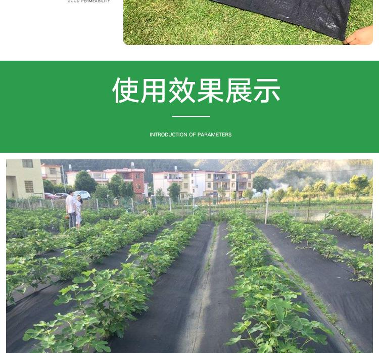 1618534614151386.jpeg 8.jpeg