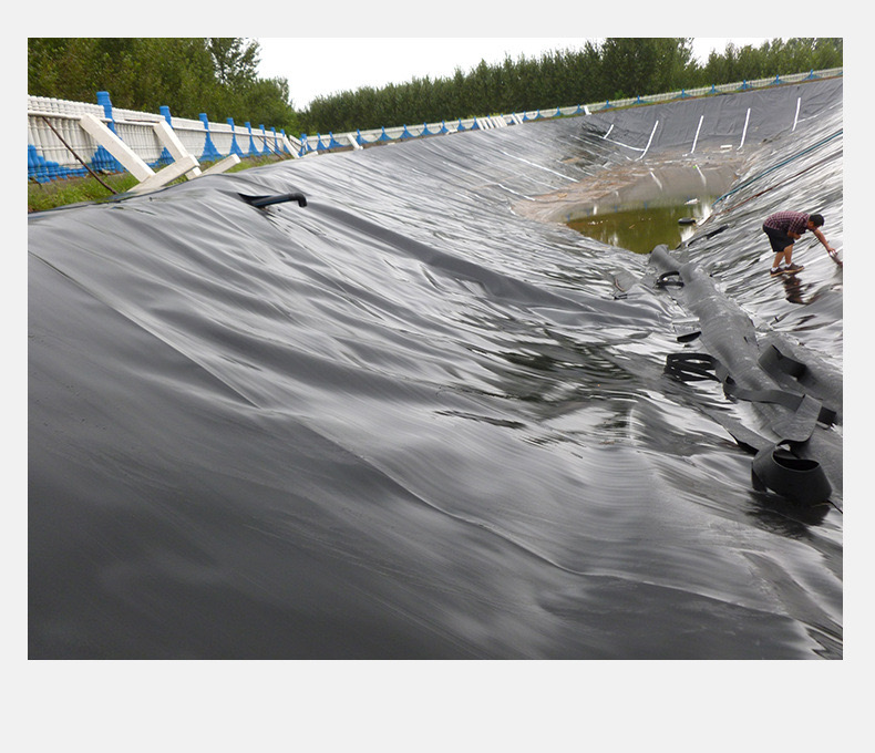 1618536350283864.jpg 10.jpg