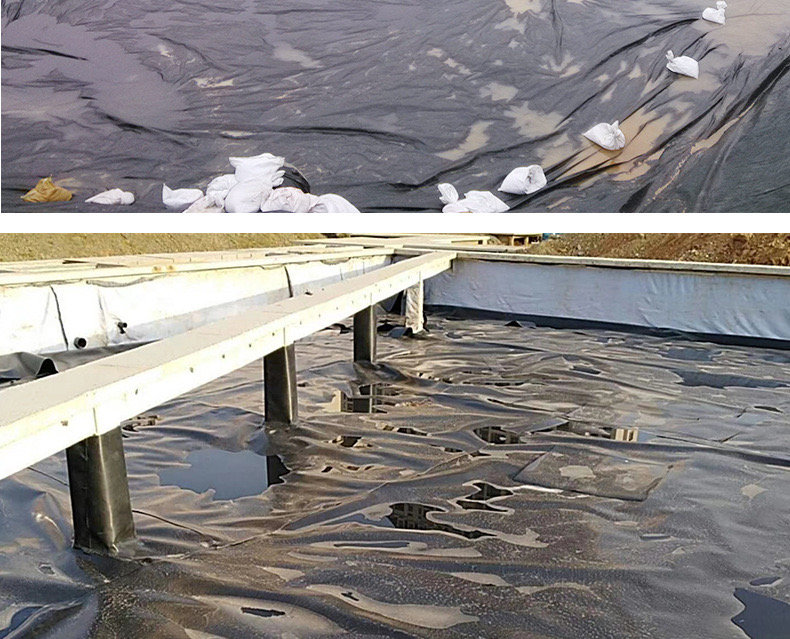 1618536363715611.jpg 12.jpg