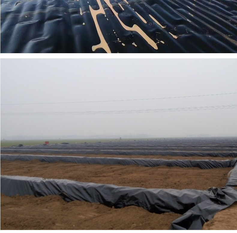 1618536377185555.jpg 14.jpg