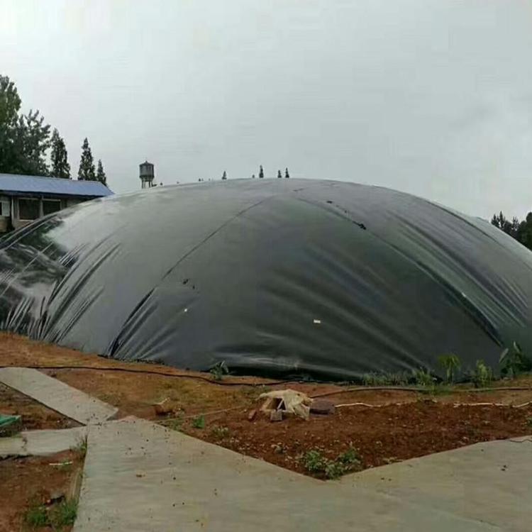 1620435744495268.jpeg u=425982295,3252416788&fm=199&app=68&f=JPEG.jpeg