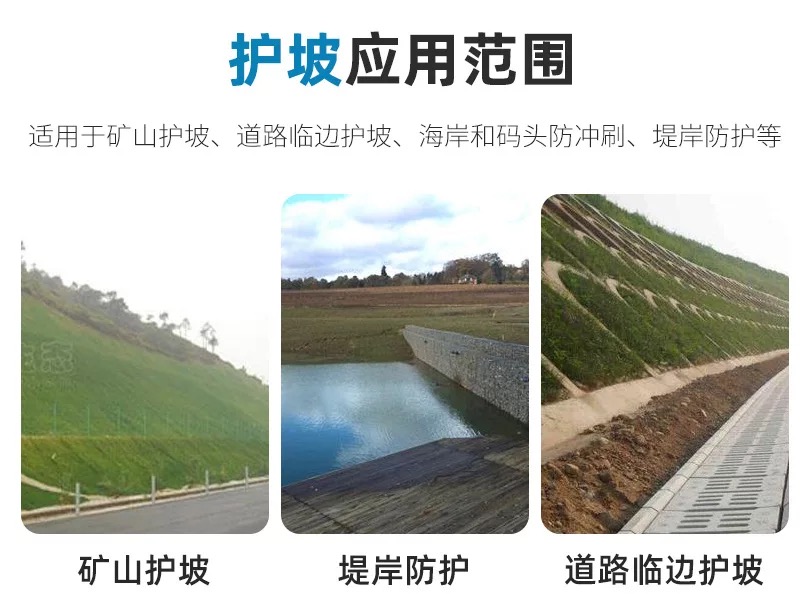 1621315971208184.jpg 8.jpg