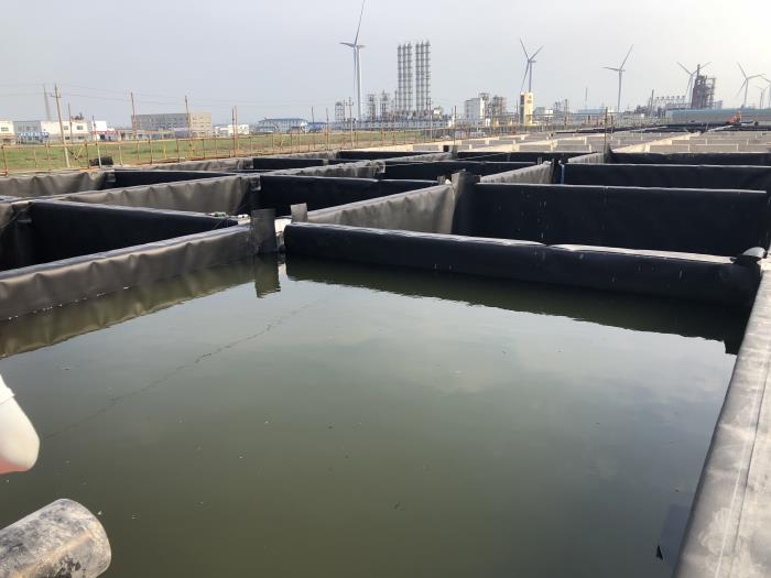 1621567006713781.jpeg 1614913970407278.jpeg